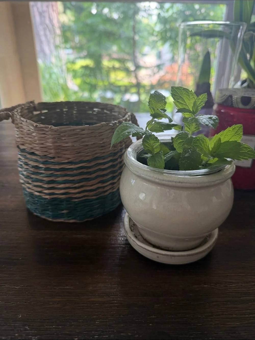 Mini- Handwoven Natural Woven Planter Basket - including pot for table